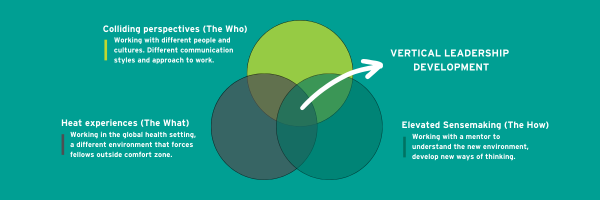 Venn diagram graphic on vertical leadership development