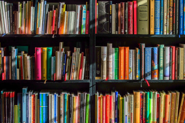 A shelf full of books</p>
<p>Description automatically generated